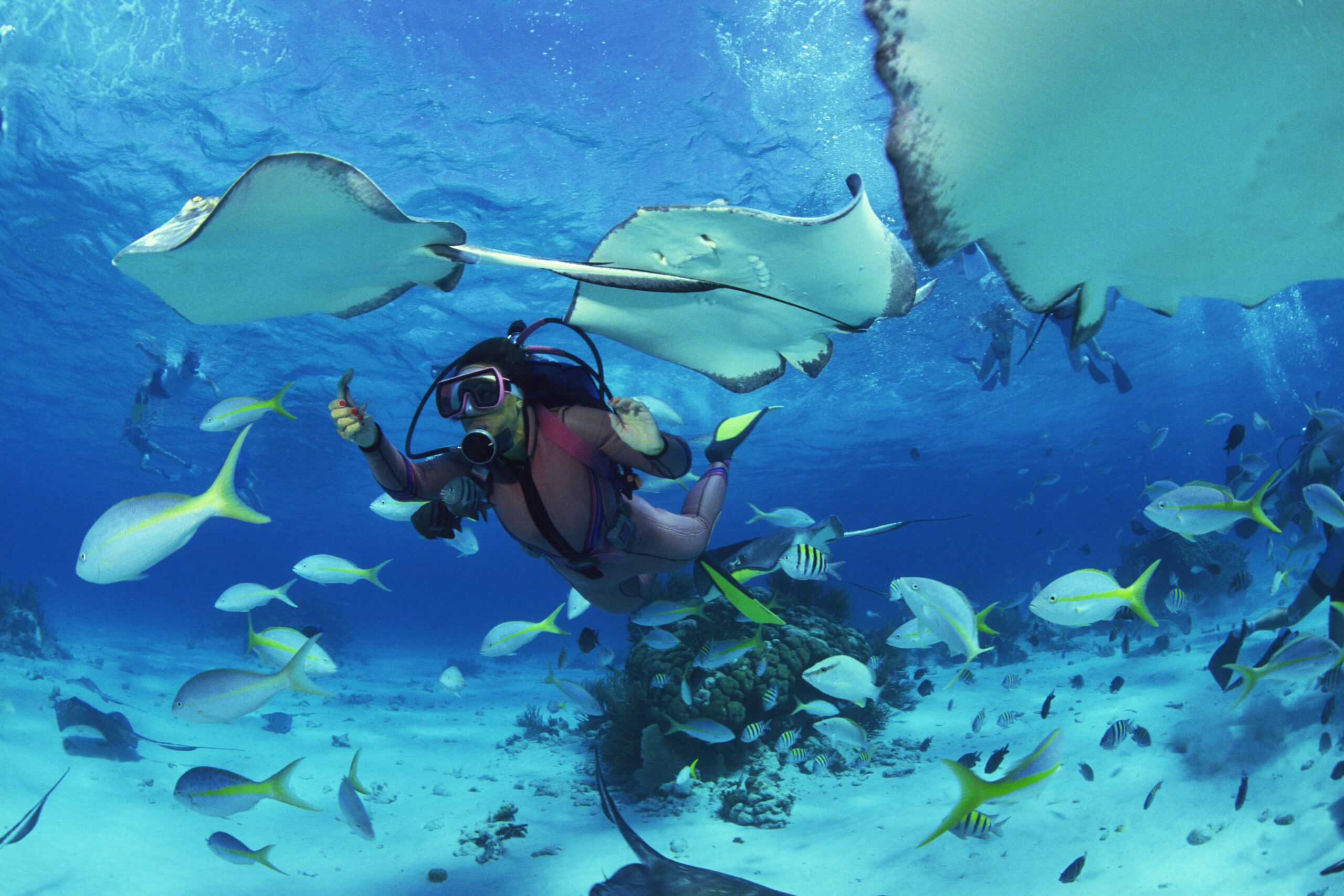 Scuba Destinations